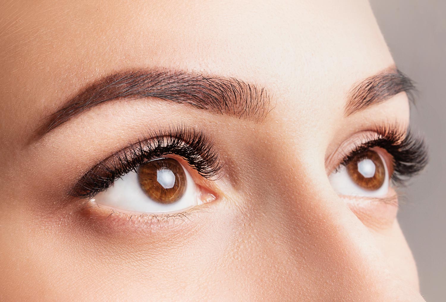 service_brows_brow_services